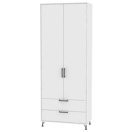 Шкаф двустворчатый Лофт H55, Белый в Перми - изображение