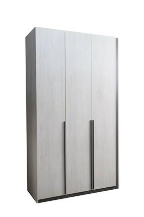 Шкаф Винтер-3, винтерберг/темно-серый в Перми - изображение