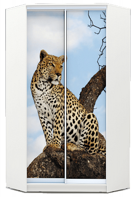 Шкаф-купе угловой 2200х1103, ХИТ У-22-4-77-04, Леопард, белая шагрень в Перми - изображение