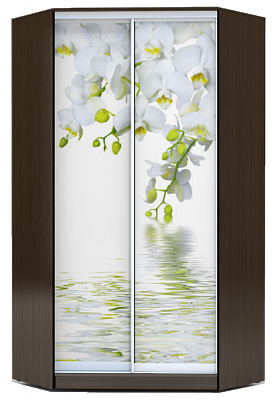 Шкаф угловой 2300х1103, ХИТ У-23-4-77-05, Белая орхидея, венге в Перми - изображение
