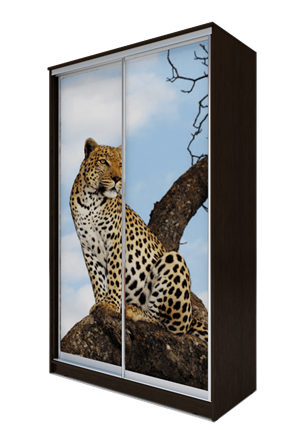 Шкаф 2300х1682х620, Леопард ХИТ 23-17-77-04 Венге Аруба в Перми - изображение