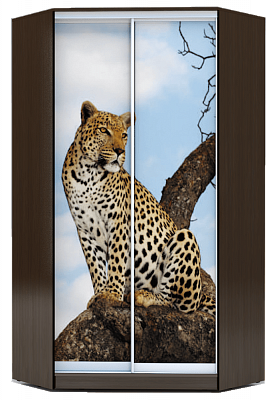 Шкаф угловой 2200х1103, ХИТ У-22-4-77-04, Леопард, венге аруба в Перми - изображение