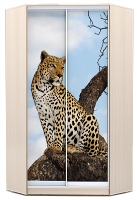 Шкаф угловой 2300х1103, ХИТ У-23-4-77-04, Леопард, дуб млечный в Перми - изображение
