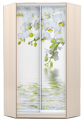 Шкаф угловой 2300х1103, ХИТ У-23-4-77-05, Белая орхидея, дуб млечный в Перми - изображение