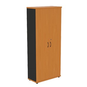 Шкаф 2-дверный Моно-Люкс R5S05 в Чайковском