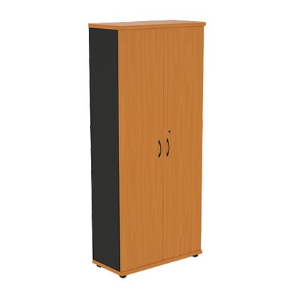 Шкаф 2-дверный Моно-Люкс R5S05 в Соликамске - изображение