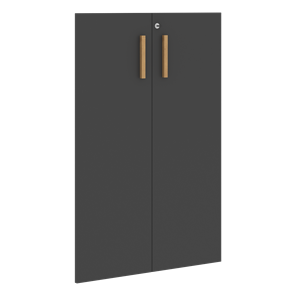 Средние двери для шкафов с замком FORTA Черный Графит FMD 40-2(Z) (794х18х1164) в Перми